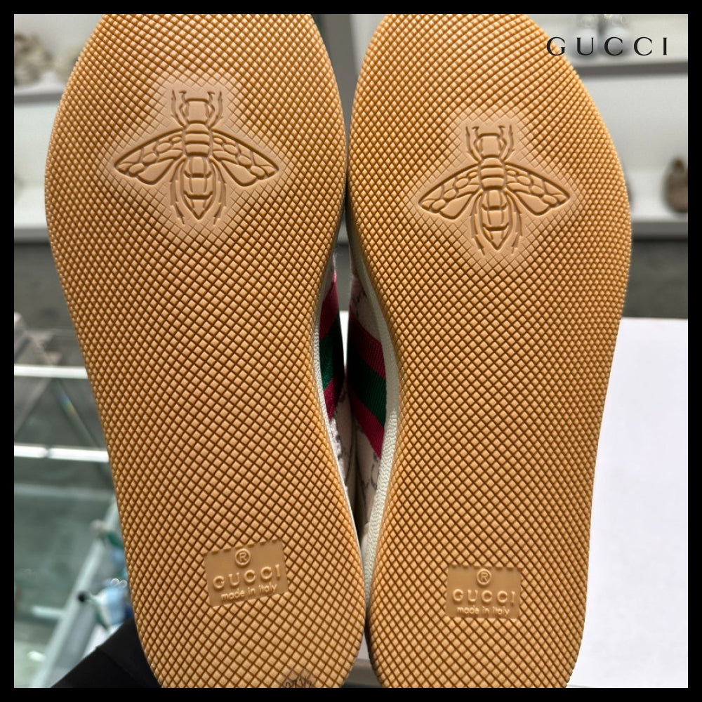 【GUCCI】Web Screener Sneakers Women