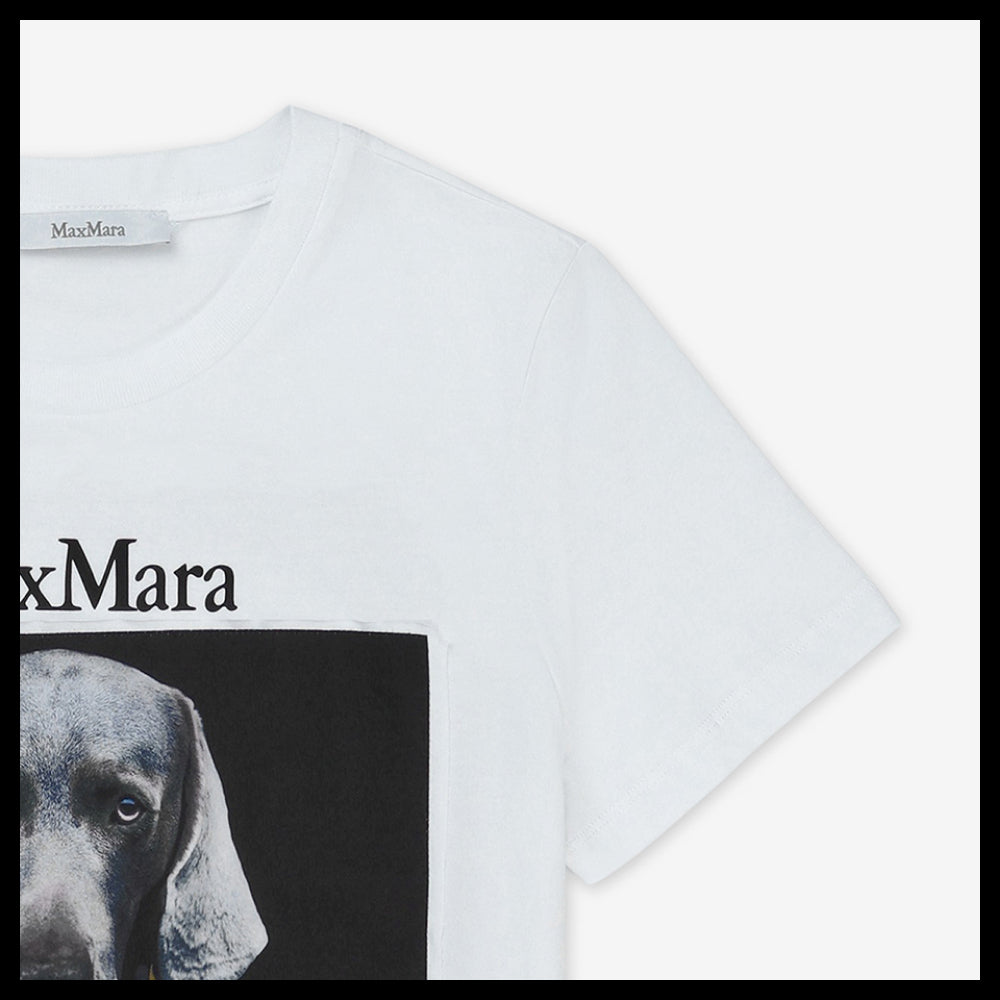 【Max Mara】Cipria Short Sleeve T Shirt Caramel