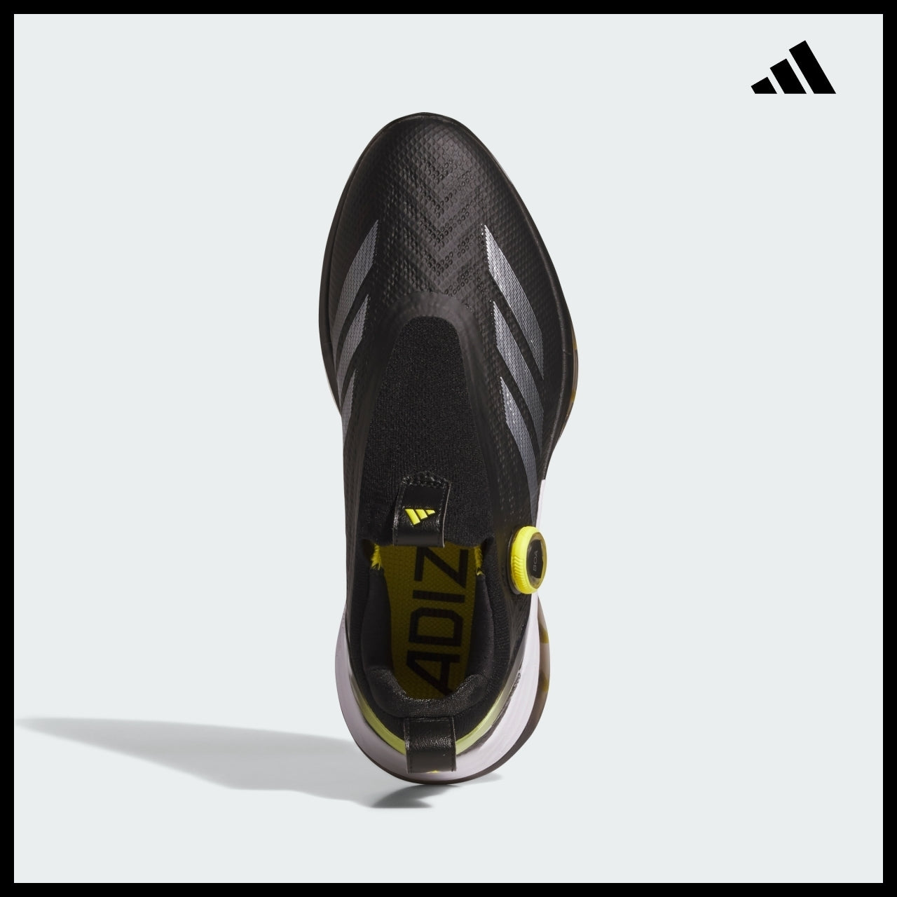 【ADIDAS】Adizero ZG BOA Spikeless