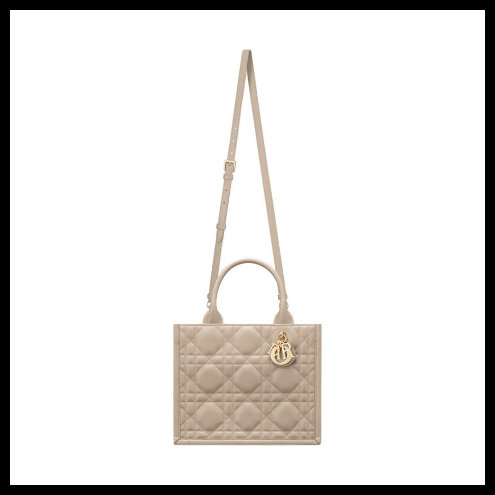 【Dior】Small Book Tote Powder Beige