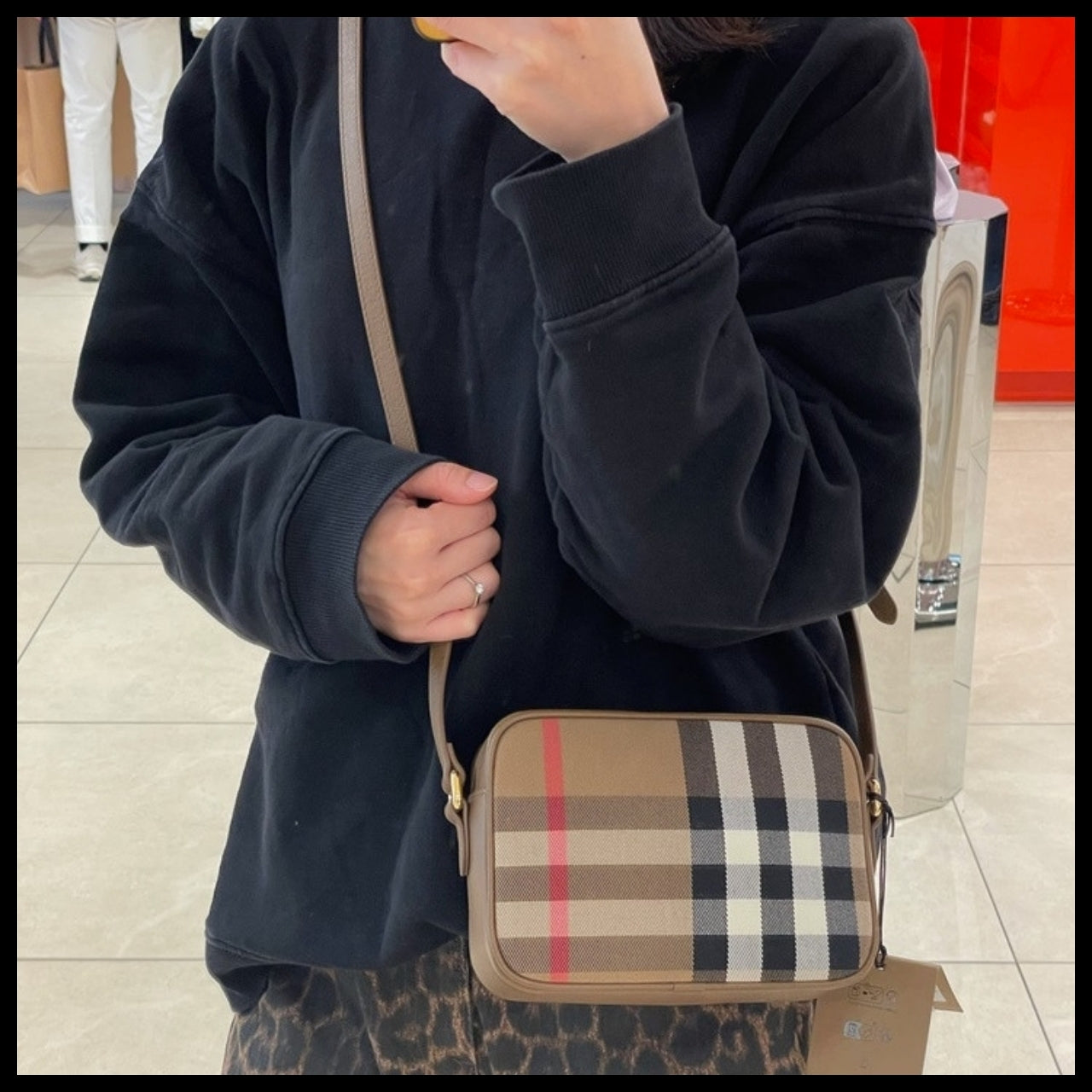 【Burberry】House Check Small Camera Bag
