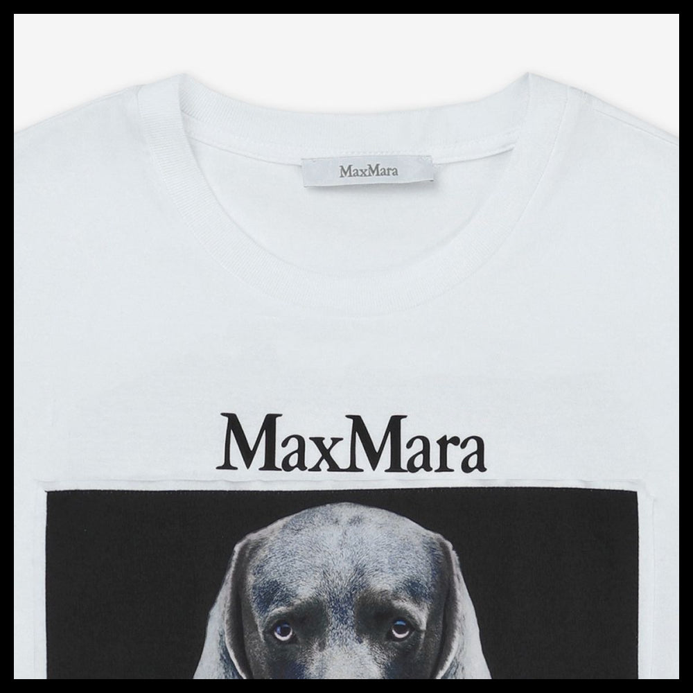 【Max Mara】Cipria Short Sleeve T Shirt Caramel