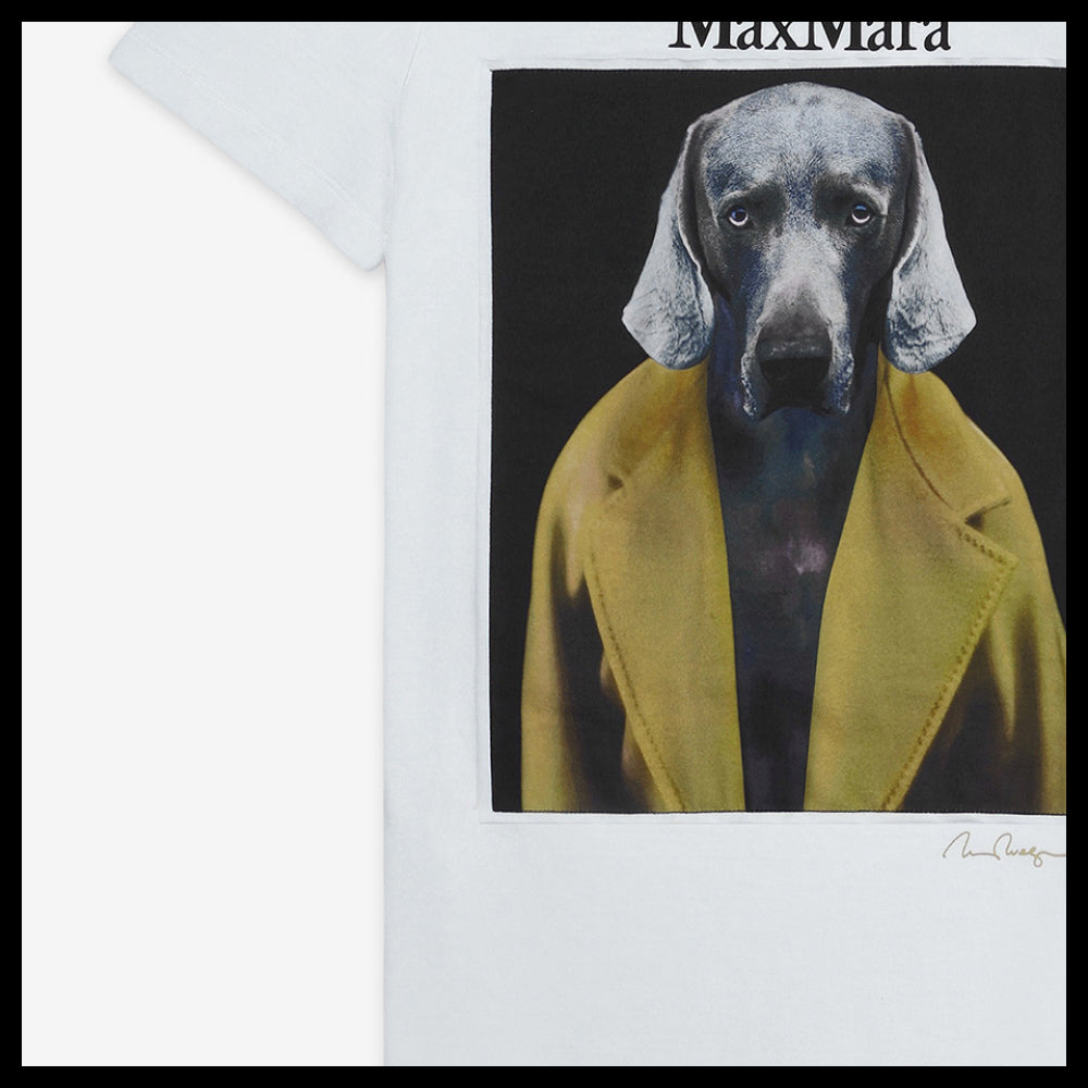 【Max Mara】Cipria Short Sleeve T Shirt Caramel